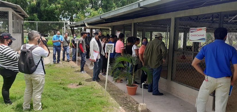 GRANJA3